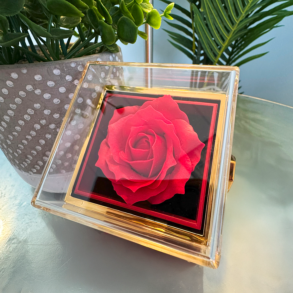 Adorn'd Love Knot Necklace w Rotating Rose Gift Box